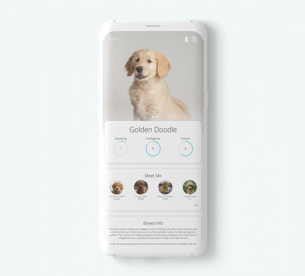 Dog App Mockup